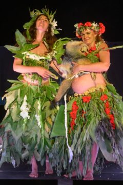 Photos by Michael Troutman (257/365)